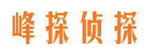 祁阳外遇出轨调查取证